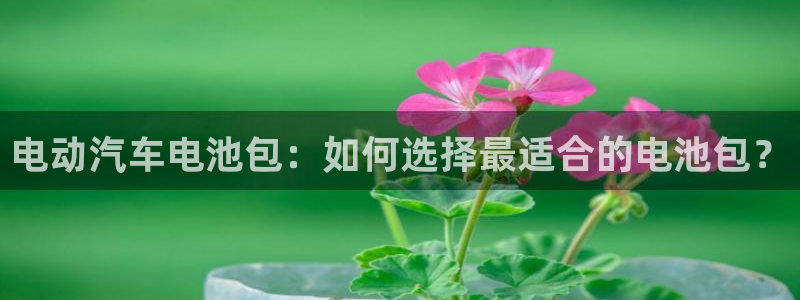 优发国际这个平台怎么样啊