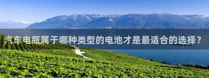 优发国际手机版唯一官网是什么