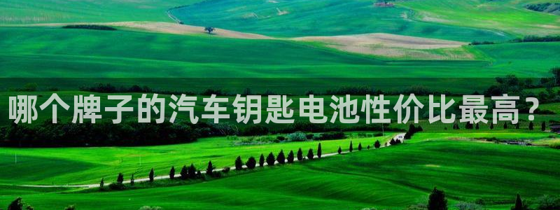 优发国际不出款怎么办