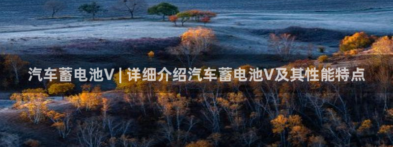 优发国际网站
