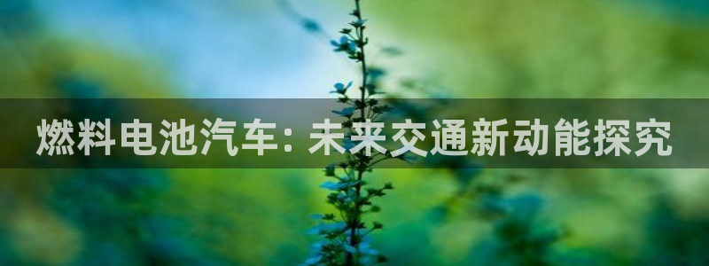 优发国际官网手机版下载