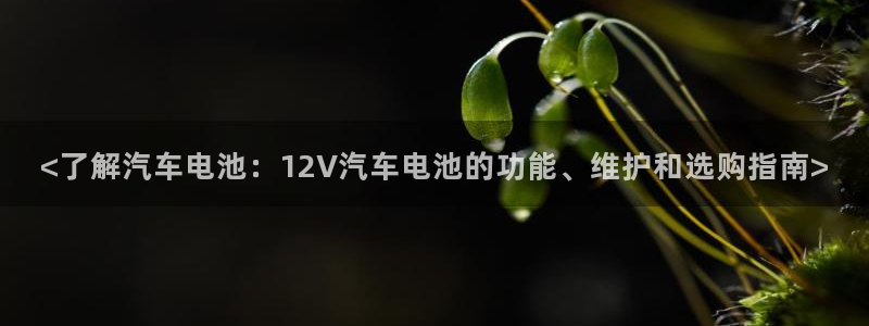 优发国际下载安装app