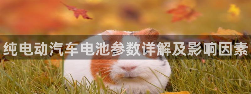 优发国际手机版官网