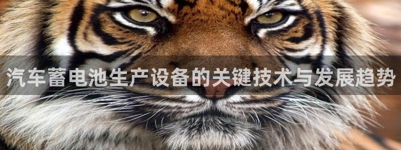 优发国际手机客户端怎么下载