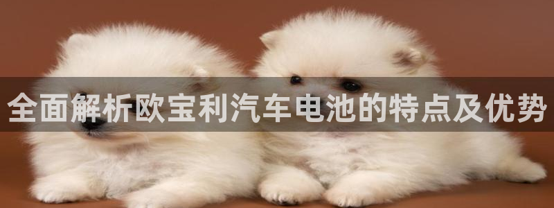 优发国际手机版下载