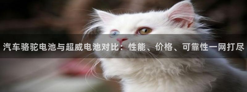 优发国际手机客户端下载官网