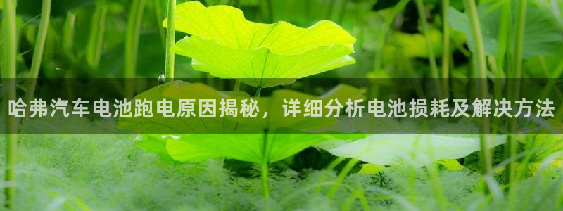 优发国际提现不了