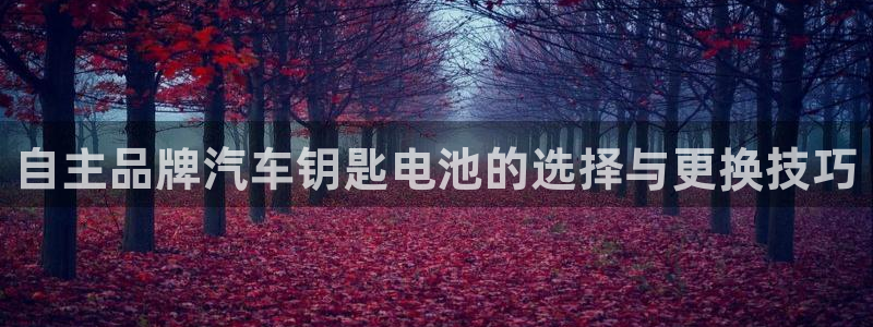优发国际app
