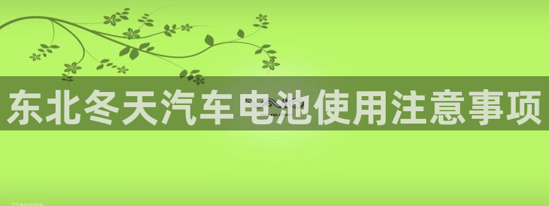 优发国际手机版客户端下载