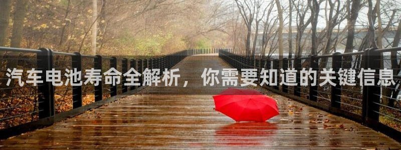 优发国际手机客户端下载官网