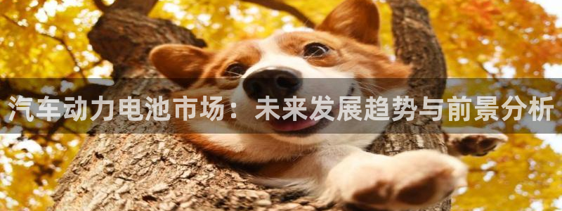 优发国际网官网17k8
