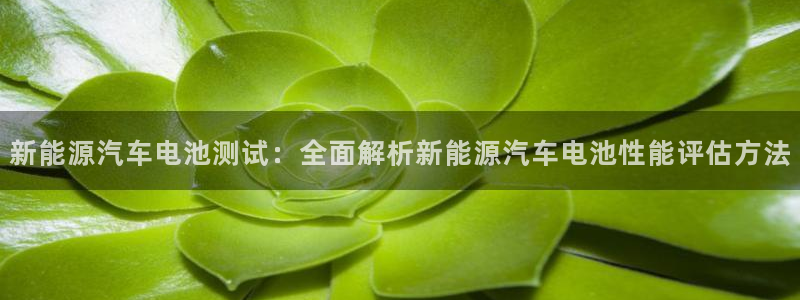 优发国际官方下载app