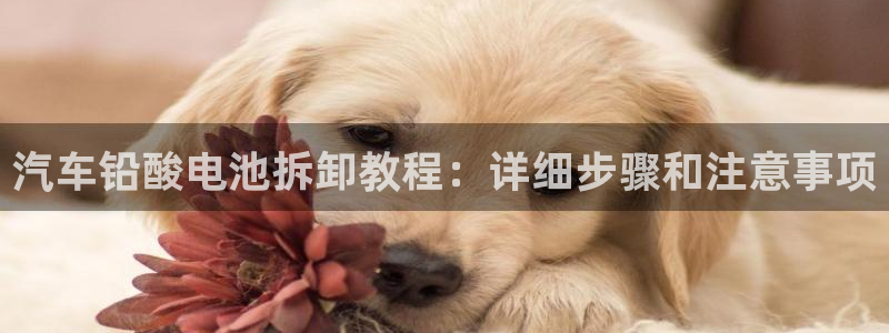 优发国际平台app下载安装