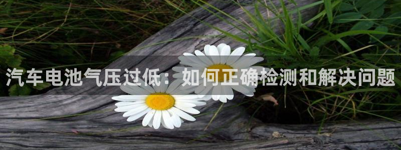 优发国际怎么样