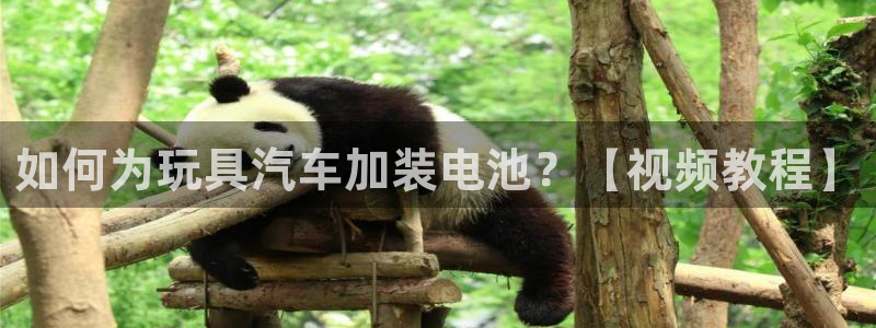 优发国际官方网平台电话