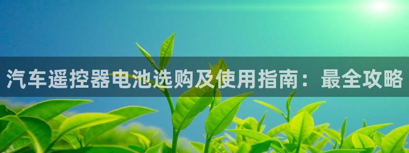 u优发国际首页：汽车遥控器电池选购及使用指南：最全攻略