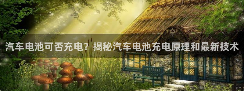 优发国际官网手机版app：汽车电池可否充电？揭秘汽车电池充电原理和最新技术