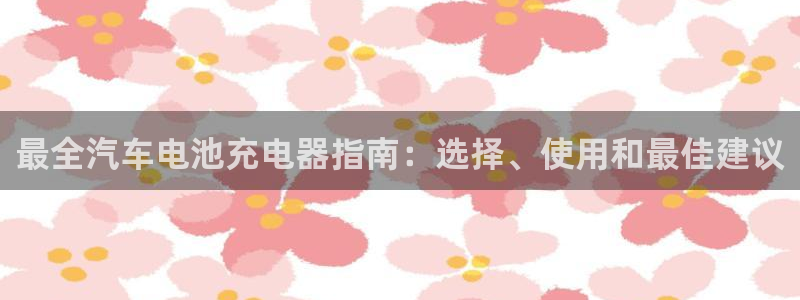 优发国际是合法的吗：最全汽车电池充电器指南：选择、使用和最佳建议