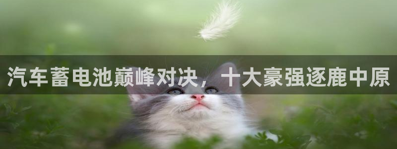 优发国际官网官方网址