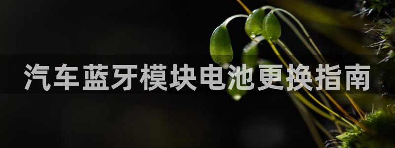 优发国际电话