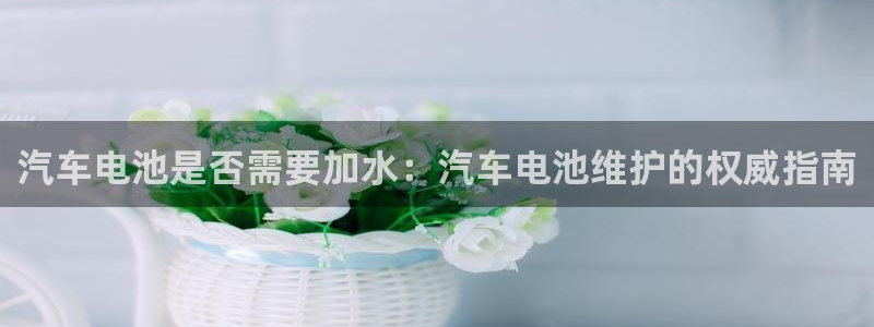 优发国际多少钱