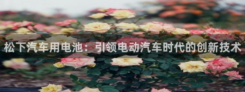 优发国际手机版网站