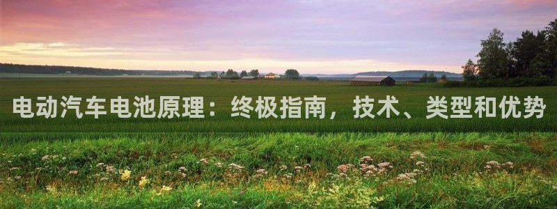 优发国际是大平台吗是真的吗