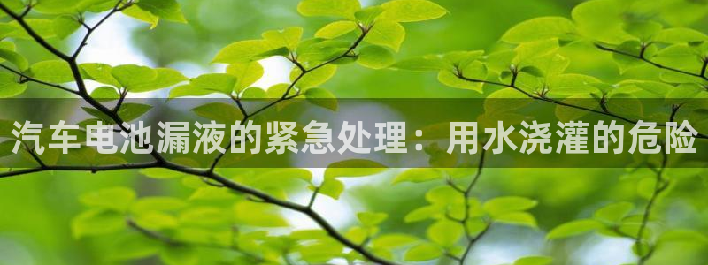 优发国际合并到哪里了最新消息