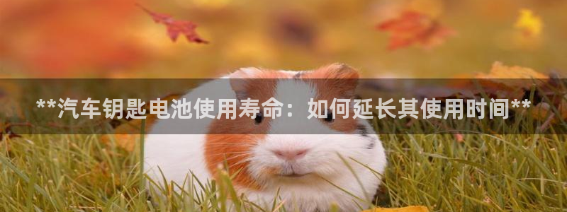 优发国际手机客户端下载安装手机版