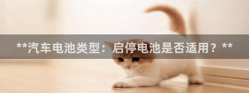 优发国际安卓版下载安装教程