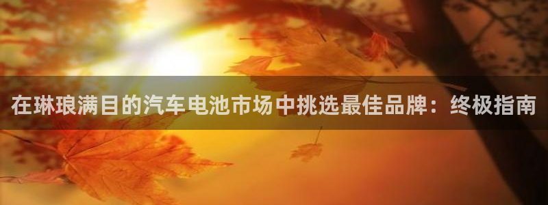 优发国际这个平台怎么样知乎