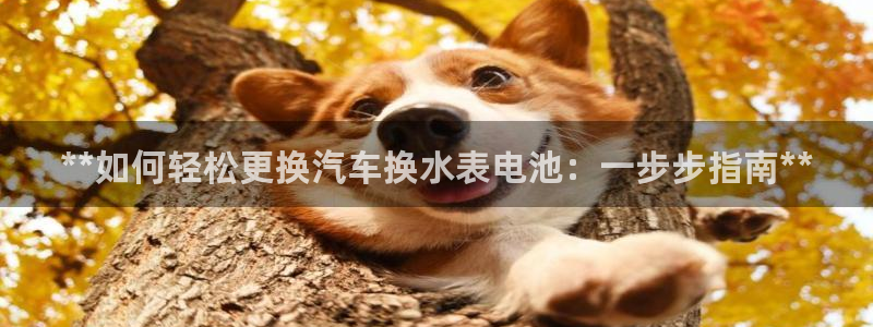 优发国际安卓版下载安装教程
