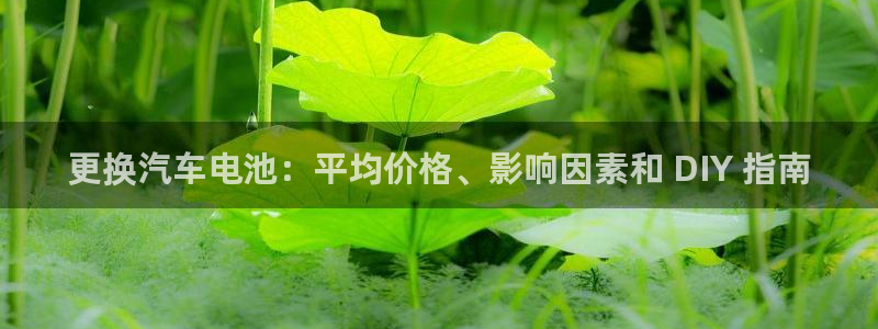优发国际官方网手机版下载安卓