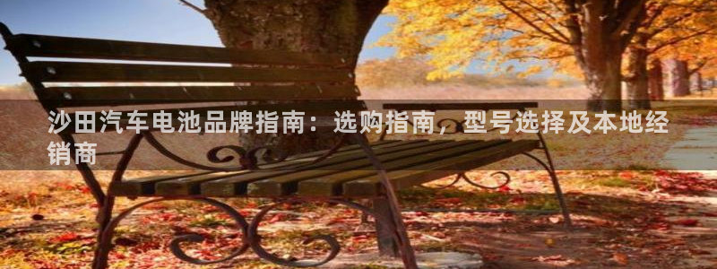 优发国际是大平台吗