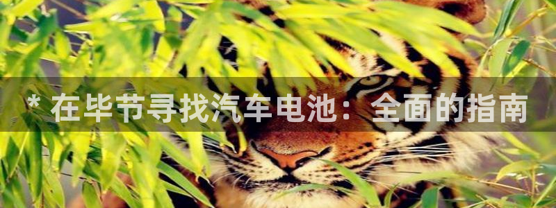 优发国际官方网手机版