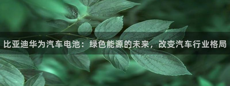 优发国际首页官网