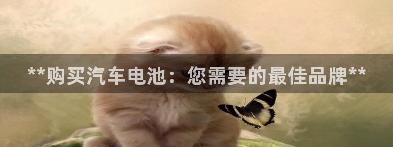优发国际手机app下载安装苹果