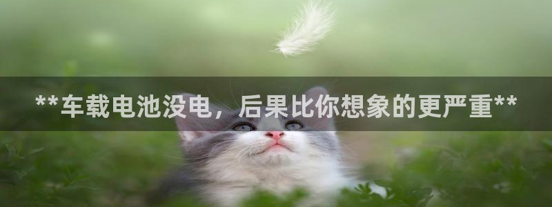 优发国际平台app下载官网