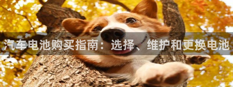 优发国际-触即发
