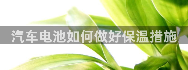 优发国际youfa