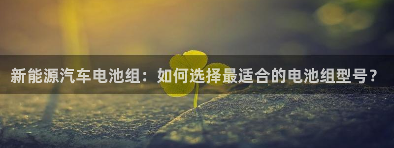 优发国际集团股份有限公司官网