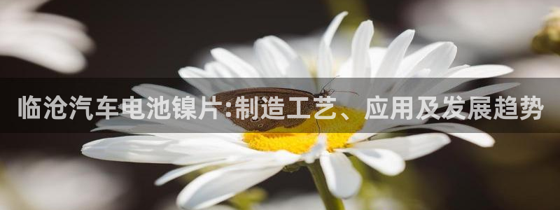 优发国际集团股份有限公司招聘