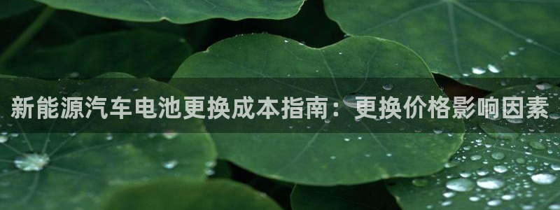 优发国际的官网是什么