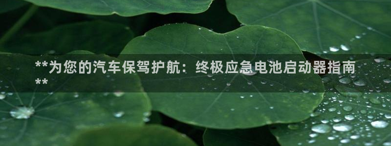 优发国际手机版网站官网