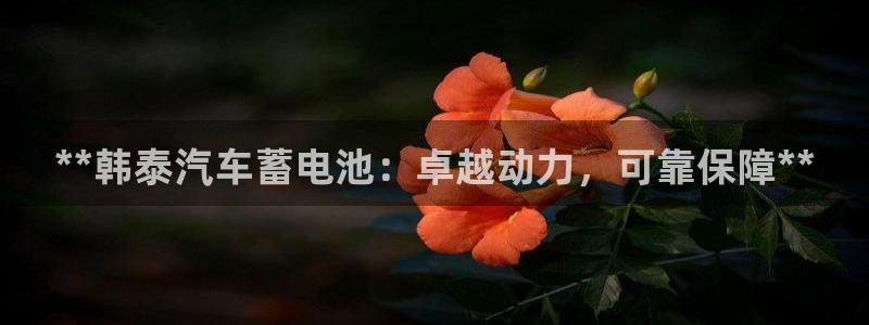 优发国际官网下载app