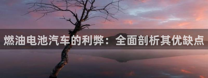优发国际平台18岁能做吗