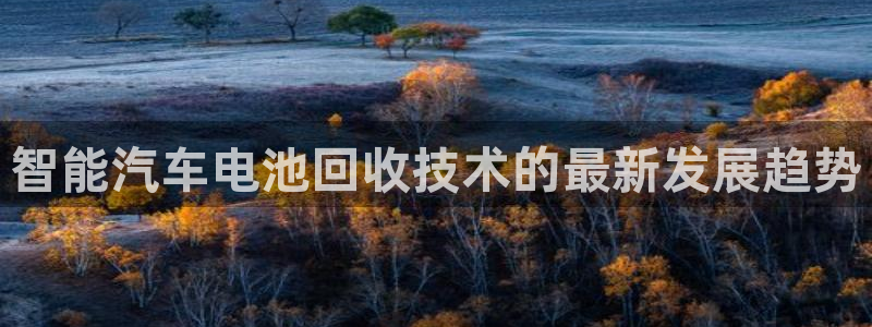 优发国际官网qy88