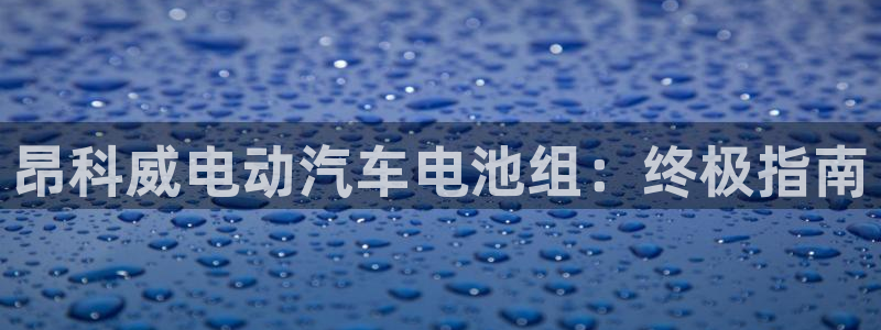 优发国际官网手机版app