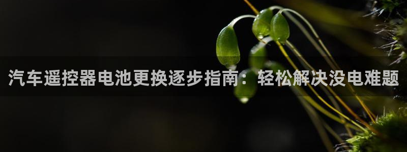 优发国际网页