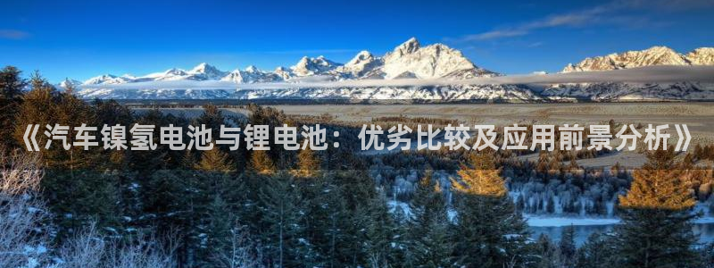 优发国际手机app下载安装